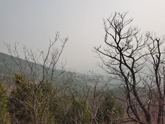 -北京鹫峰国家森林公园