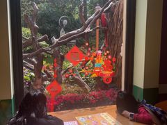 -美食小镇·观赏珍稀鸟类·长隆熊猫酒店