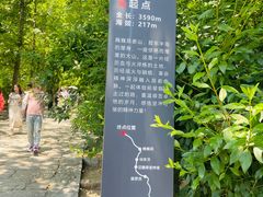 -无染寺