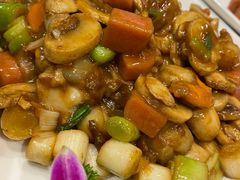 -邵年鸽(杨庄店)