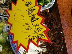-鸽子窝(宋庄店)