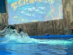 -华夏文旅海洋公园