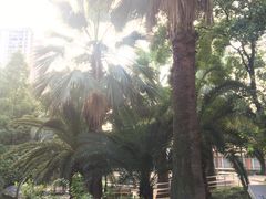 -苏州河梦清园环保主题公园