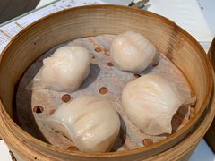 招牌蝦餃皇-真點心(高士德店)