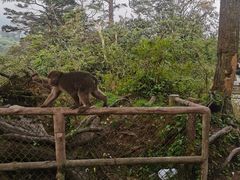 -峨眉山风景名胜区