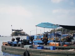 -西澳岛