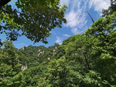 -王顺山国家森林公园