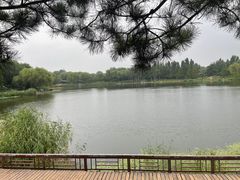 -北坞公园