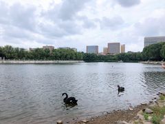 -长春世界雕塑园冰雪艺术天地