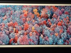 -罗红摄影艺术馆