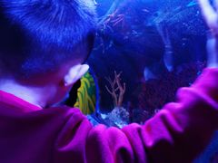 -沈阳海洋探索中心