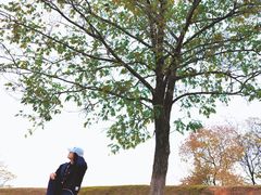 -盘龙城国家考古遗址公园