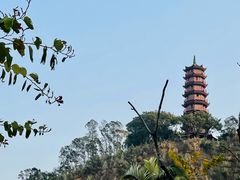 -南沙蒲洲花园