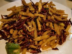 -田记餐馆(富国街店)