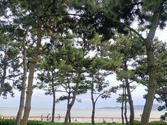 -八大峡公园