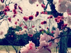 -上海市龙华烈士陵园