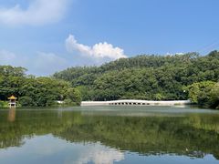-深圳仙湖植物园
