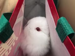 -桂满陇·手作小笼包&江南叫花鸡(中山公园店)