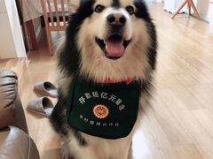 -白兔子密室(长寿路店)