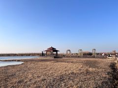 -宁波杭州湾国家湿地公园