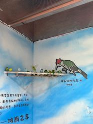 -奇幻萌宠部落(映月湖环宇城店)