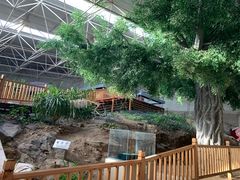 -中国第四纪冰川遗迹陈列馆