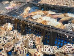 -金成潮菜博物馆(海珠湿地店)