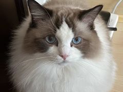 -TIAGO HOME KITCHEN(王府中环店)