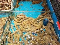 -隐厨·海鲜餐厅(恒通路店)