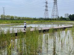 -永定河休闲森林公园