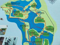 -溱湖国家湿地公园