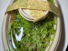 -油梨树AVOCADO TREE(望京店)