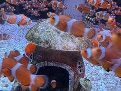 -海合安成都极地海洋公园