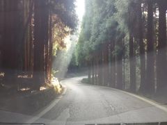 -武陵山森林公园