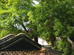 -西园戒幢律寺