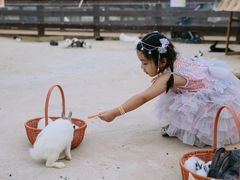 -尺木神奇世界