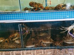 -蓝珊甄选海鲜自助·火锅大排档(近阿那亚店)