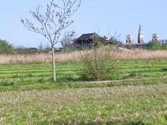 -广富林郊野公园