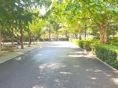 -北京市海淀外国语实验学校