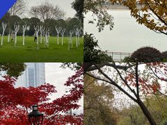 -岳麓山风景名胜区