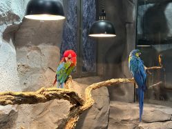 -Zoolung Zoolung动物主题公园(海信广场店)