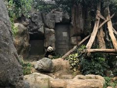 -香港海洋公园