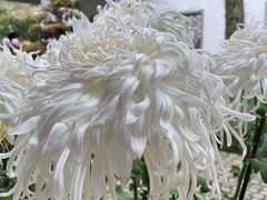 -杭州植物园