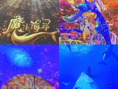 -海合安天津极地海洋公园