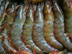 -青石桥市场北1-27号