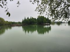 -贡湖湾湿地公园
