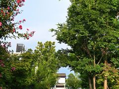 -安仁古镇