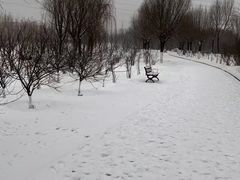 -永定河休闲森林公园