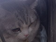 -天宠宠物医院24小时·急重症诊疗中心·全科·腔镜特色(和平分院)