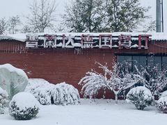 -普兰达德国餐厅·德式脆皮烤猪肘·自酿啤酒(观唐店)